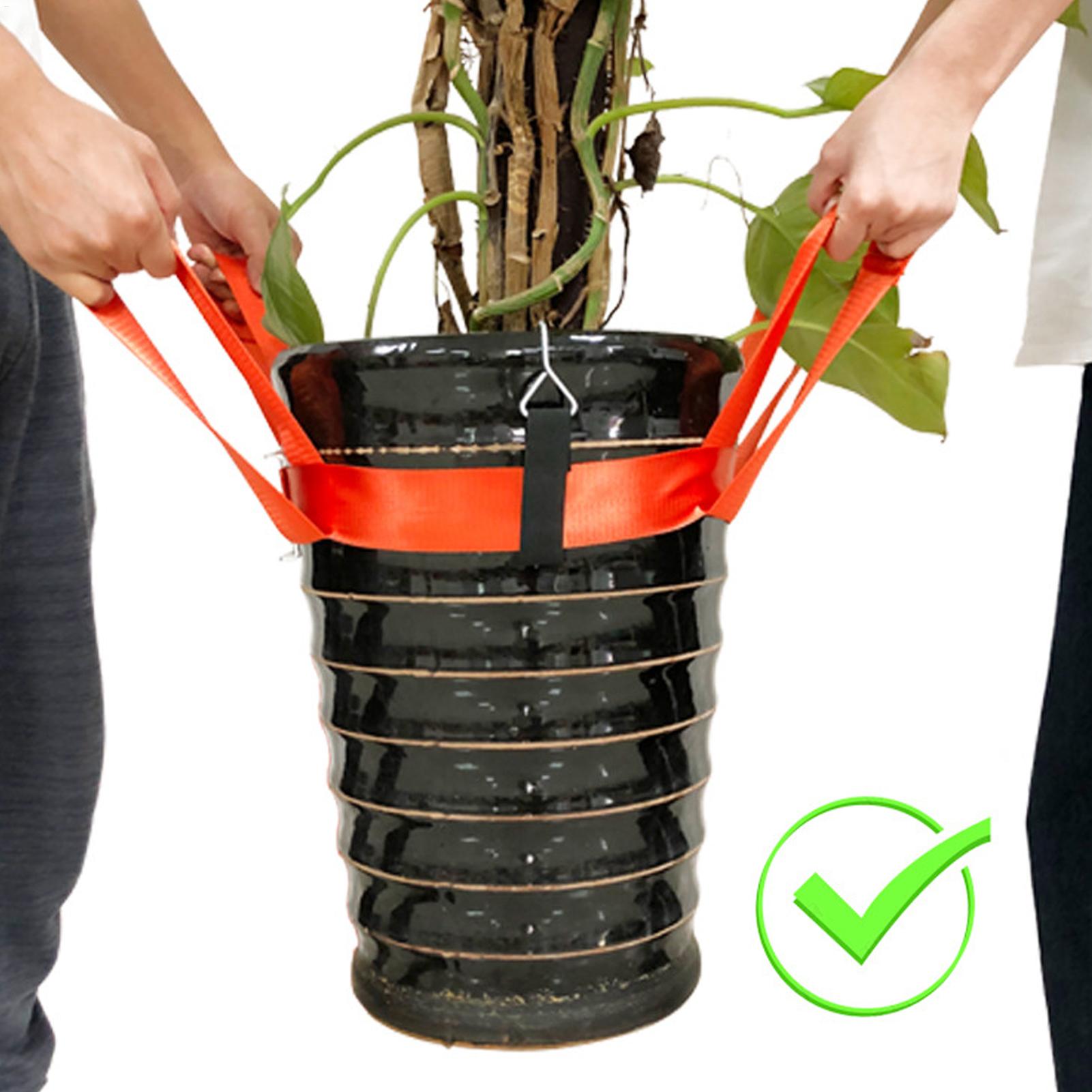 Landscaping Lifting Strap Pott - Lifting Belt 评论和价格
